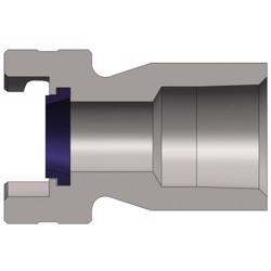 P4F6-S 303 Stainless Steel Dual-Lock™ P-Series Thor Interchange Female Thread Plug